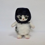 泥棒猫さん(紺の唐草模様、サバ白)
