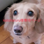 katoharuru様専用ページ