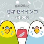 【ご予約受付中】銀の福袋2020（セキセイインコ）