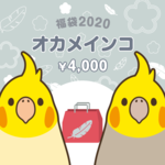【ご予約受付中】銀の福袋2020（オカメインコ）