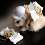 ノースポールの野兎・ぬいぐるみセット