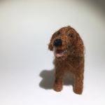 フェルト犬 アイリッシュセッター　レッドさん　<MW238>