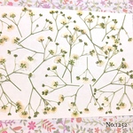 ♡new♡ 作家様必見 ♡かすみ草の押し花セット♡