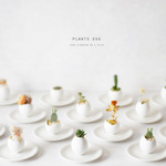 plants egg