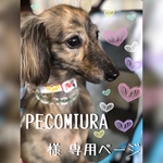 PECO MIURA様  専用ページ