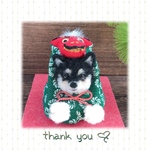 kumatta…様　獅子舞わんこ♡お正月飾り　(毛糸と羊毛フェルト)