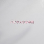 専用ページ