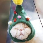 クリスマスツリー帽子