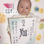 命名書（色紙サイズ）