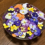 お花屋さんが作ったビオラのドライフラワー80枚の特盛りsetです！