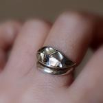 現品限り　Avalon Shell　Single leaf S 950 ring２