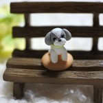 シーズー＊樹脂粘土＊わんこ＊犬