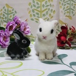 alohaleia様専用ページ🐰🐰