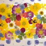 ♡new♡  ♡可愛い押し花セット♡ ♡使いやすい少量の押し花セット♡
