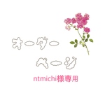 ntmichi様専用♥ 