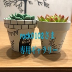 おひとりさま多肉ちゃん 北欧シリーズ