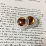 7263 ポーランド インポートボタン 25mm×2個 フロスティ tortoise 