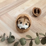 くるカラハムちゃん④