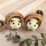 くるカラハムちゃんキンクマ