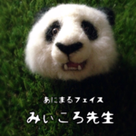 【送料¥0】パンダくん