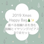 【Xmas Happy Bag🎄】 指輪＋イヤリング/ピアス 計7点入