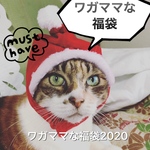 2020年ワガママな福袋 年内発送♪(送料無料・イヤリング5点 ピアス変更可)
