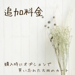 追加料金900円