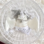 【送料込】アルビノコウモリ・リーベ(Liebe)