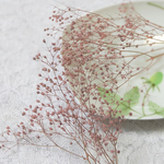 かすみ草　カスミ草　プリザーブド　パウダーローズ