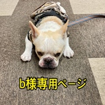 b様専用ページ