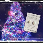 。+*celebrate*+。