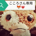 【ご予約商品】