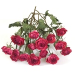 赤  薔薇 ドライフラワー  ①