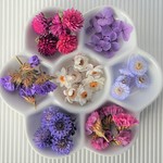 【小さな封入セットD】イモーテル・花かんざし・あじさい他