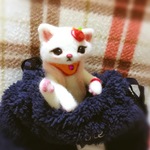 おねがいにゃんこNo.255