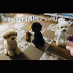 katasoraichi様愛犬ちゃん風リールキーホルダーU^ェ^U
