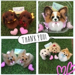 s0801様 犬 羊毛フェルトストラップ