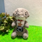 カメラのアクセサリー