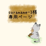 [soramame-3 様] ご注文専用･.｡*･