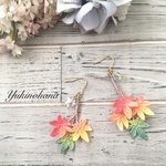 ピアス〜楓の紅葉
