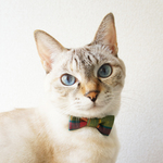リボン猫首輪* 3色タータンチェック