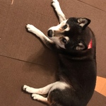 tiduru様専用ページ