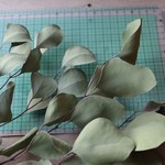 ポポラス の Dry Flower（50cm：3本組）
