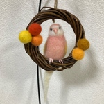 アキクサインコと羊毛ボールのミニリース♪羊毛フェルト