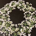 アリッサム 白 25輪♡ 押し花 素材