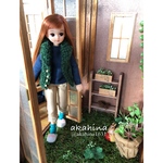 組み立て式ちいさなお庭