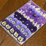 お花屋さんが作ったビオラのドライフラワーお詰め合わせ   う⑦