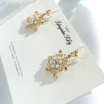 雪の結晶 イヤリング　ピアス　樹脂イヤリング　R&y211