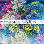 mamie916様専用ページ