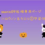 ★saorin0916様専用☆平袋セット　他同梱★